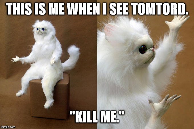 Persian Cat Room Guardian | THIS IS ME WHEN I SEE TOMTORD. "KILL ME." | image tagged in memes,persian cat room guardian | made w/ Imgflip meme maker