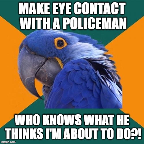 Paranoid Parrot Meme | MAKE EYE CONTACT WITH A POLICEMAN; WHO KNOWS WHAT HE THINKS I'M ABOUT TO DO?! | image tagged in memes,paranoid parrot | made w/ Imgflip meme maker
