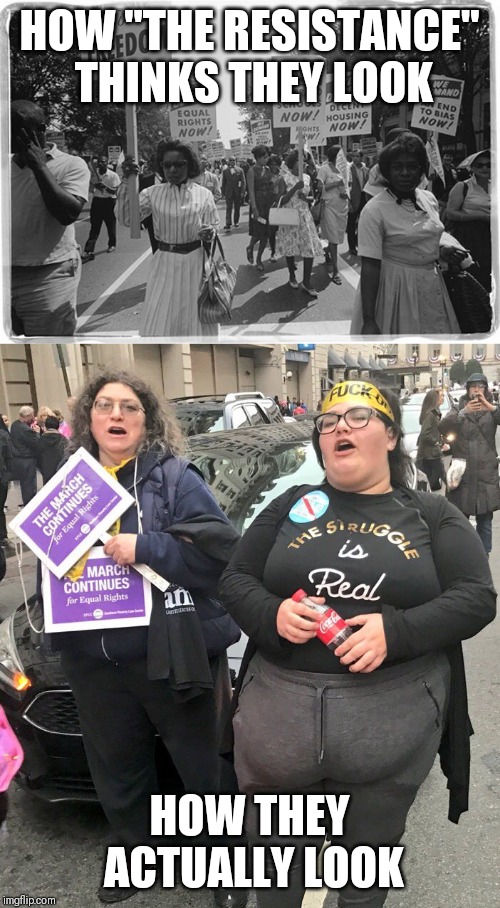 #Resist exercise | HOW "THE RESISTANCE" THINKS THEY LOOK; HOW THEY ACTUALLY LOOK | image tagged in resist,liberals,trump,maga,democrats | made w/ Imgflip meme maker