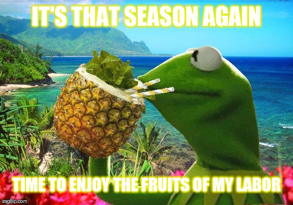 Jroc113 | IT'S THAT SEASON AGAIN; TIME TO ENJOY THE FRUITS OF MY LABOR | image tagged in vacation kermit | made w/ Imgflip meme maker