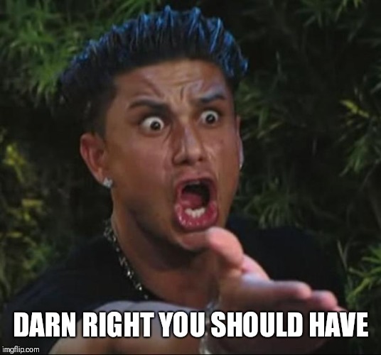 DJ Pauly D Meme | DARN RIGHT YOU SHOULD HAVE | image tagged in memes,dj pauly d | made w/ Imgflip meme maker