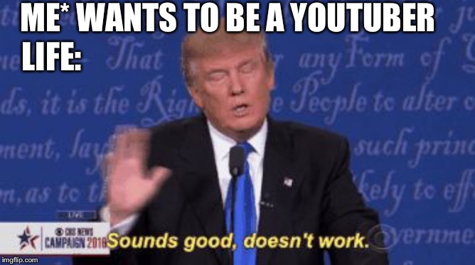 I want to me a YouTuber! | ME* WANTS TO BE A YOUTUBER; LIFE: | image tagged in trump sounds good doesnt work | made w/ Imgflip meme maker