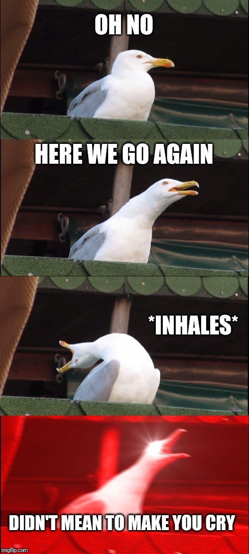 Inhaling Seagull Meme | OH NO HERE WE GO AGAIN *INHALES* DIDN'T MEAN TO MAKE YOU CRY | image tagged in memes,inhaling seagull | made w/ Imgflip meme maker