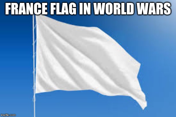 France | FRANCE FLAG IN WORLD WARS | image tagged in memes,france | made w/ Imgflip meme maker