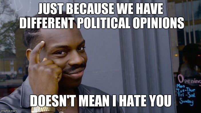 Roll Safe Think About It | JUST BECAUSE WE HAVE DIFFERENT POLITICAL OPINIONS; DOESN'T MEAN I HATE YOU | image tagged in memes,roll safe think about it,liberals,conservatives,difference | made w/ Imgflip meme maker