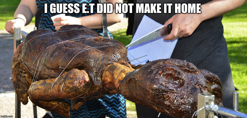 ET BBQ | I GUESS E.T DID NOT MAKE IT HOME | image tagged in et bbq | made w/ Imgflip meme maker