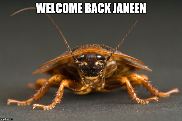 Cockroach | WELCOME BACK JANEEN | image tagged in cockroach | made w/ Imgflip meme maker