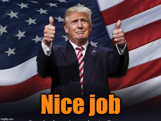 Donald Trump Thumbs Up | Nice job | image tagged in donald trump thumbs up | made w/ Imgflip meme maker