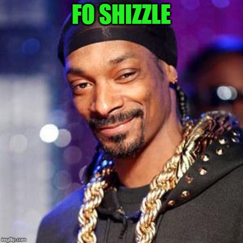 Snoop dogg | FO SHIZZLE | image tagged in snoop dogg | made w/ Imgflip meme maker