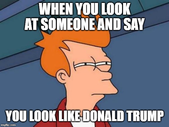 Futurama Fry | WHEN YOU LOOK AT SOMEONE AND SAY; YOU LOOK LIKE DONALD TRUMP | image tagged in memes,futurama fry | made w/ Imgflip meme maker