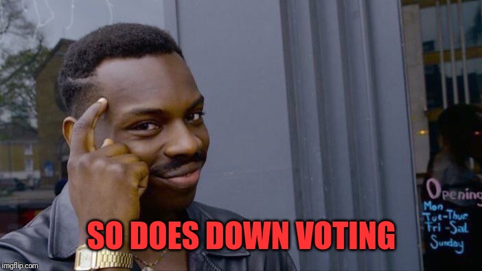 Roll Safe Think About It Meme | SO DOES DOWN VOTING | image tagged in memes,roll safe think about it | made w/ Imgflip meme maker