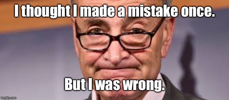 Chuck Shumer | I thought I made a mistake once. But I was wrong. | image tagged in chuck shumer | made w/ Imgflip meme maker