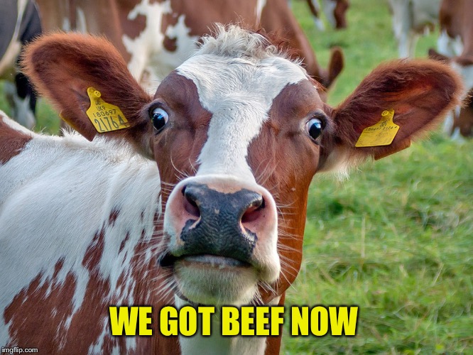 How Dairy!! | WE GOT BEEF NOW | image tagged in how dairy | made w/ Imgflip meme maker