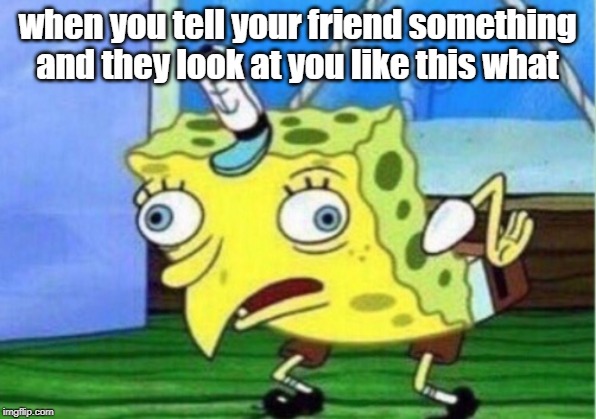 Mocking Spongebob | when you tell your friend something and they look at you like this what | image tagged in memes,mocking spongebob | made w/ Imgflip meme maker