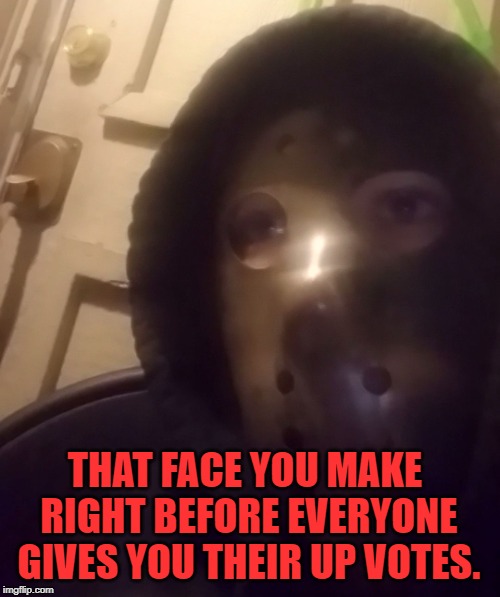The face you make(custom) | THAT FACE YOU MAKE RIGHT BEFORE EVERYONE GIVES YOU THEIR UP VOTES. | image tagged in the face you makecustom,nixieknox,memes | made w/ Imgflip meme maker