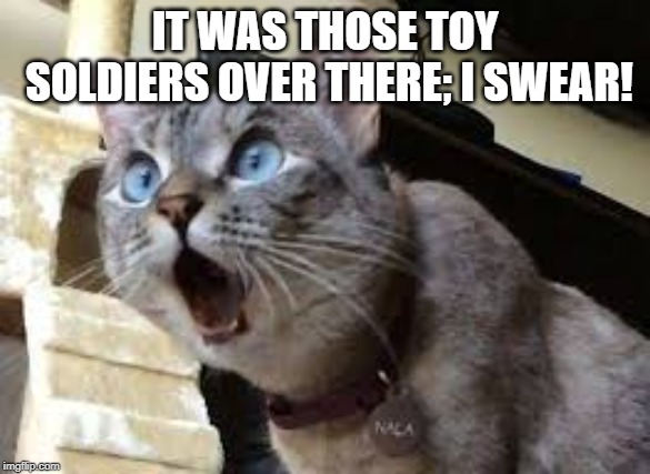 Surprised cat | IT WAS THOSE TOY SOLDIERS OVER THERE; I SWEAR! | image tagged in surprised cat | made w/ Imgflip meme maker