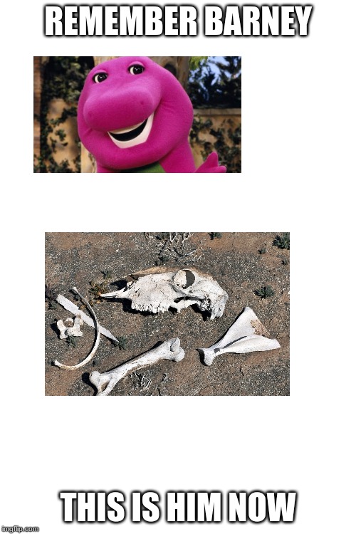 barney s death |  REMEMBER BARNEY; THIS IS HIM NOW | image tagged in back in my day | made w/ Imgflip meme maker