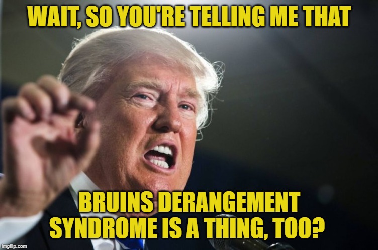 donald trump | WAIT, SO YOU'RE TELLING ME THAT; BRUINS DERANGEMENT SYNDROME IS A THING, TOO? | image tagged in donald trump | made w/ Imgflip meme maker