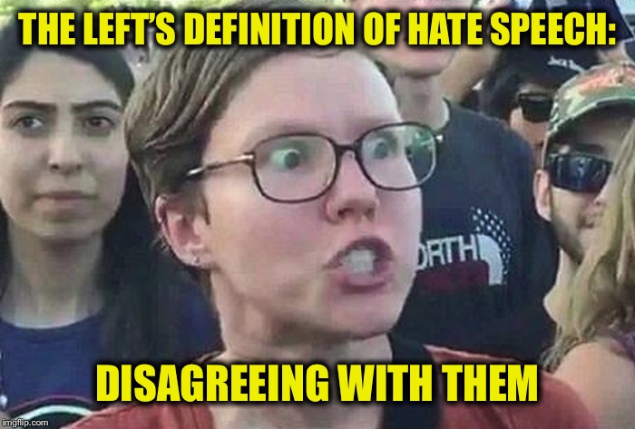 Triggered Liberal | THE LEFT’S DEFINITION OF HATE SPEECH: DISAGREEING WITH THEM | image tagged in triggered liberal | made w/ Imgflip meme maker