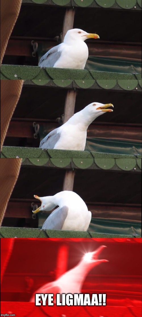 Inhaling Seagull Meme | EYE LIGMAA!! | image tagged in memes,inhaling seagull | made w/ Imgflip meme maker