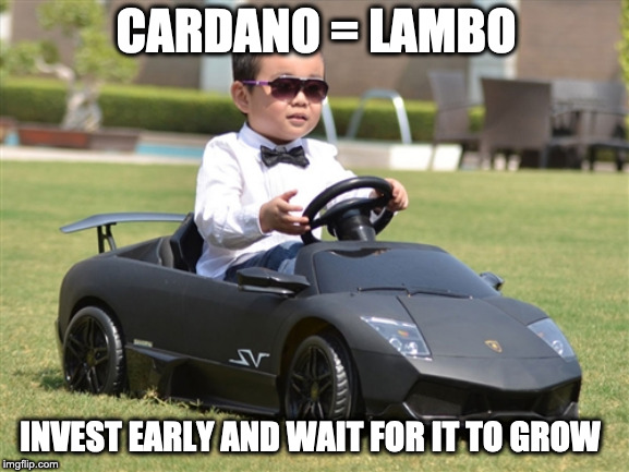 Crypto lambo | CARDANO = LAMBO; INVEST EARLY AND WAIT FOR IT TO GROW | image tagged in crypto lambo | made w/ Imgflip meme maker