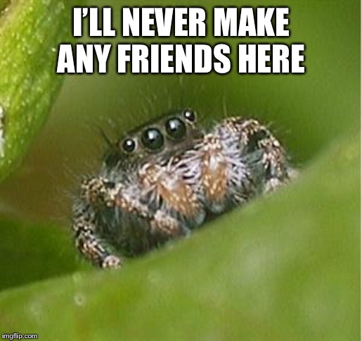 Misunderstood Spider | I’LL NEVER MAKE ANY FRIENDS HERE | image tagged in misunderstood spider | made w/ Imgflip meme maker