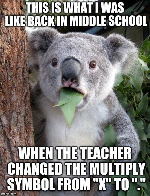 I was so confused! | THIS IS WHAT I WAS LIKE BACK IN MIDDLE SCHOOL; WHEN THE TEACHER CHANGED THE MULTIPLY SYMBOL FROM "X" TO "." | image tagged in suprised koala,funny,math,multiple,middle school,memes | made w/ Imgflip meme maker