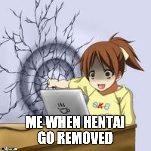 Anime wall punch | ME WHEN HENTAI GO REMOVED | image tagged in anime wall punch | made w/ Imgflip meme maker