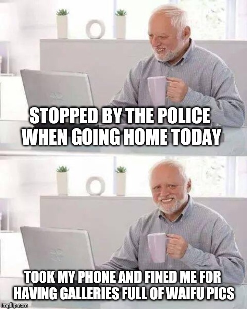Hide the Pain Harold Meme | STOPPED BY THE POLICE WHEN GOING HOME TODAY; TOOK MY PHONE AND FINED ME FOR HAVING GALLERIES FULL OF WAIFU PICS | image tagged in memes,hide the pain harold | made w/ Imgflip meme maker