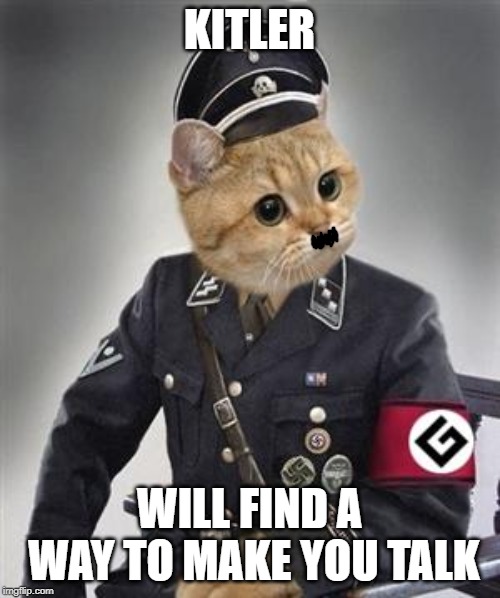 Grammar Nazi Cat | KITLER WILL FIND A WAY TO MAKE YOU TALK | image tagged in grammar nazi cat | made w/ Imgflip meme maker