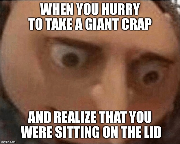 uh oh Gru | WHEN YOU HURRY TO TAKE A GIANT CRAP; AND REALIZE THAT YOU WERE SITTING ON THE LID | image tagged in uh oh gru | made w/ Imgflip meme maker