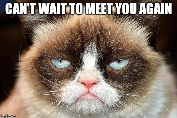 Grumpy Cat Not Amused Meme | CAN'T WAIT TO MEET YOU AGAIN | image tagged in memes,grumpy cat not amused,grumpy cat | made w/ Imgflip meme maker