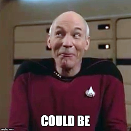 Picard Funny Face 2 | COULD BE | image tagged in picard funny face 2 | made w/ Imgflip meme maker