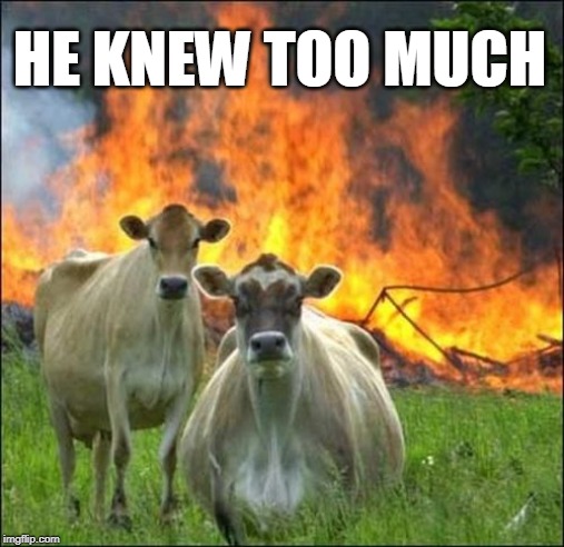 HE KNEW TOO MUCH | image tagged in memes,evil cows | made w/ Imgflip meme maker