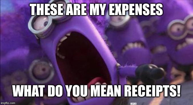 Purple Minion | THESE ARE MY EXPENSES; WHAT DO YOU MEAN RECEIPTS! | image tagged in purple minion | made w/ Imgflip meme maker