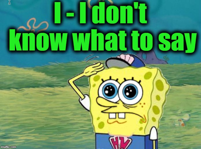 Spongebob salute | I - I don't know what to say | image tagged in spongebob salute | made w/ Imgflip meme maker