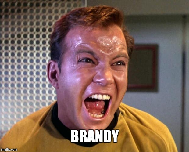 Captain Kirk Screaming | BRANDY | image tagged in captain kirk screaming | made w/ Imgflip meme maker