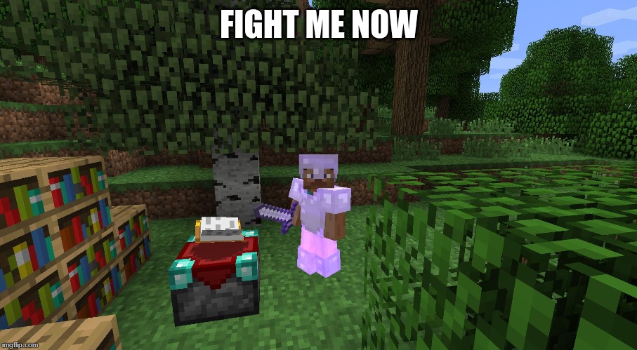 pvp tryhards be like | FIGHT ME NOW | image tagged in minecraft | made w/ Imgflip meme maker