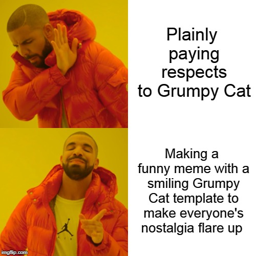 Drake Hotline Bling Meme | Plainly paying respects to Grumpy Cat; Making a funny meme with a smiling Grumpy Cat template to make everyone's nostalgia flare up | image tagged in memes,drake hotline bling | made w/ Imgflip meme maker