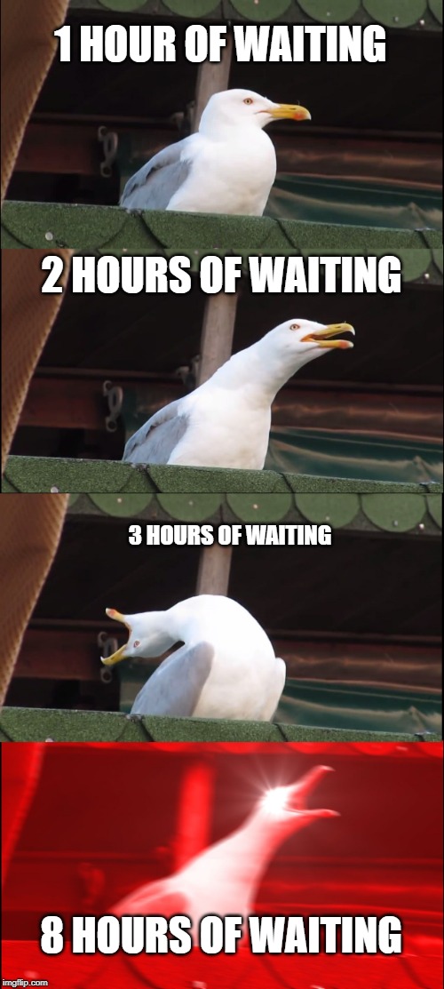 Inhaling Seagull | 1 HOUR OF WAITING; 2 HOURS OF WAITING; 3 HOURS OF WAITING; 8 HOURS OF WAITING | image tagged in memes,inhaling seagull | made w/ Imgflip meme maker