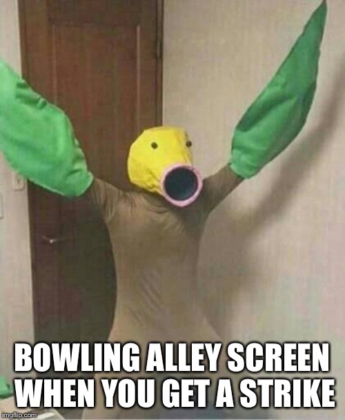 BOWLING ALLEY SCREEN WHEN YOU GET A STRIKE | image tagged in bowling screen,memes | made w/ Imgflip meme maker