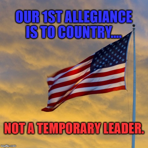 Our 1st Allegiance is to Our Country | OUR 1ST ALLEGIANCE IS TO COUNTRY.... NOT A TEMPORARY LEADER. | image tagged in usa,loyalty,donald trump | made w/ Imgflip meme maker