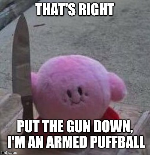 creepy kirby | THAT'S RIGHT PUT THE GUN DOWN, I'M AN ARMED PUFFBALL | image tagged in creepy kirby | made w/ Imgflip meme maker