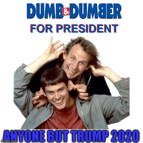 Campaign Pledge: Free New Ears for All Trump Supporters (brain optional) | ANYONE BUT TRUMP 2020 | image tagged in dumb,dumb and dumber,stupid people,election 2020,2020 | made w/ Imgflip meme maker