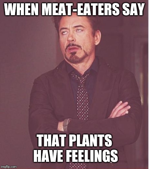 Face You Make Robert Downey Jr | WHEN MEAT-EATERS SAY; THAT PLANTS HAVE FEELINGS | image tagged in memes,face you make robert downey jr | made w/ Imgflip meme maker