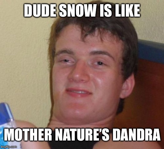 10 Guy Meme | DUDE SNOW IS LIKE; MOTHER NATURE’S DANDRA | image tagged in memes,10 guy | made w/ Imgflip meme maker