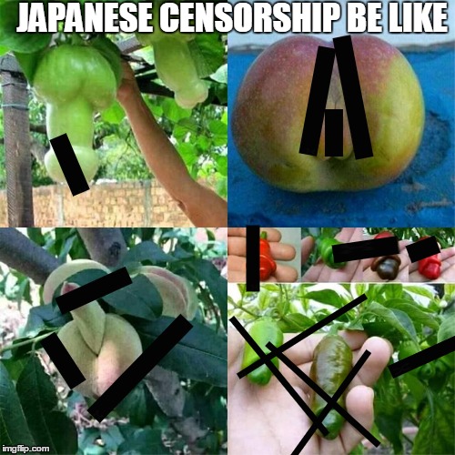 Every doujinshi has this feature for some reason.. | image tagged in japan,manga,doujin,doujinshi,censorship,censored | made w/ Imgflip meme maker