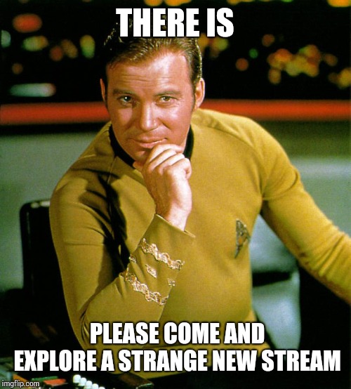 captain kirk | THERE IS PLEASE COME AND EXPLORE A STRANGE NEW STREAM | image tagged in captain kirk | made w/ Imgflip meme maker