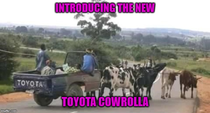 Whatever gets you from point A to point B right? | INTRODUCING THE NEW; TOYOTA COWROLLA | image tagged in toyota cowrolla,memes,toyota,funny,cows,point a to point b | made w/ Imgflip meme maker