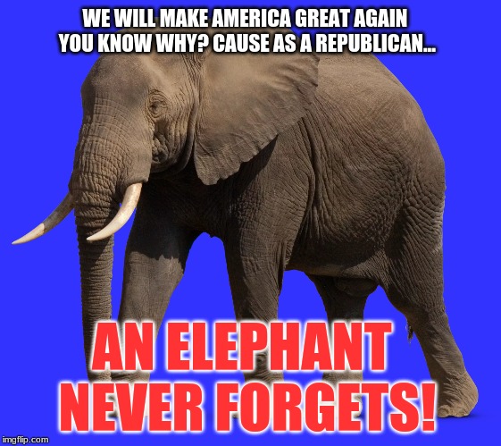 elephant never forgets! | WE WILL MAKE AMERICA GREAT AGAIN YOU KNOW WHY? CAUSE AS A REPUBLICAN... AN ELEPHANT NEVER FORGETS! | image tagged in political meme,memes,mainstream media,republicans,funny | made w/ Imgflip meme maker